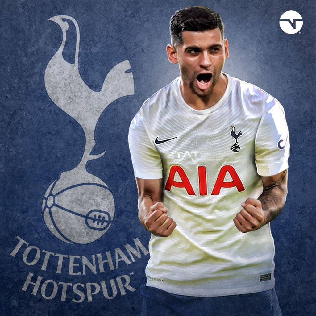 是所有羽毛 是所有羽毛